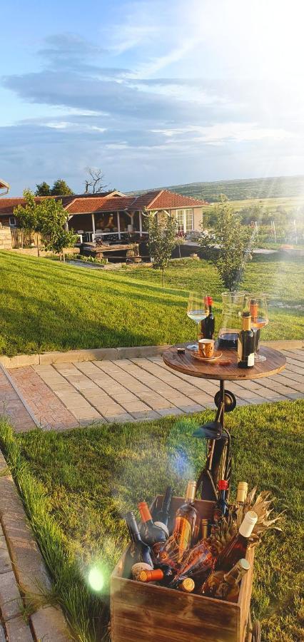 Apartmani Bojeresku Negotin Bagian luar foto