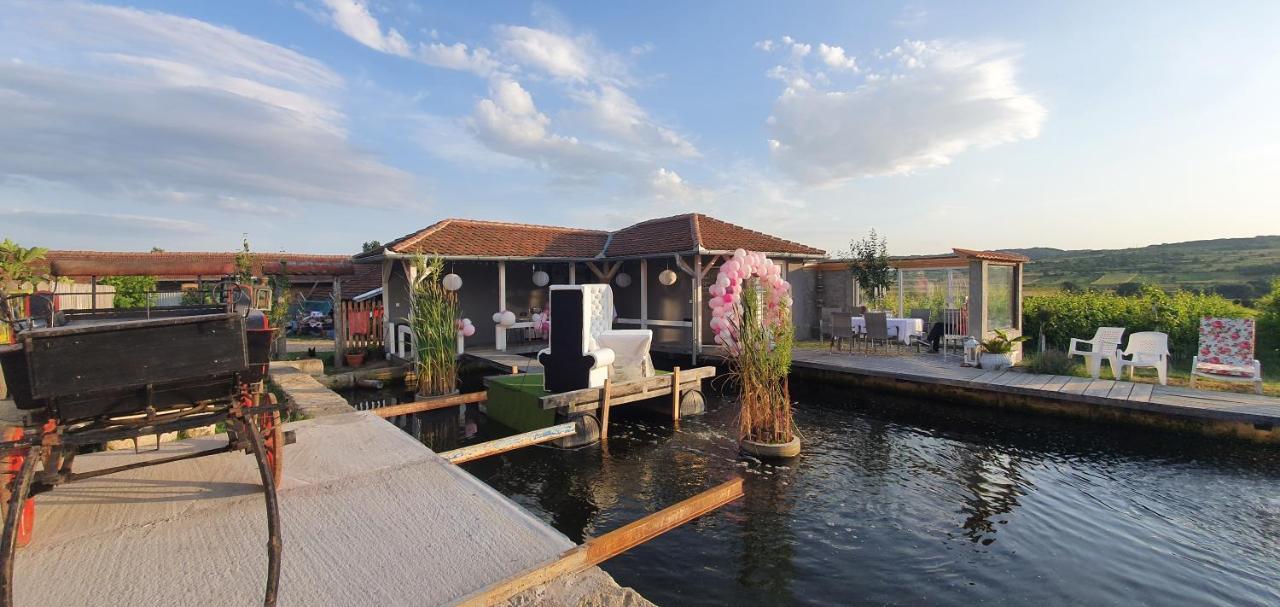 Apartmani Bojeresku Negotin Bagian luar foto