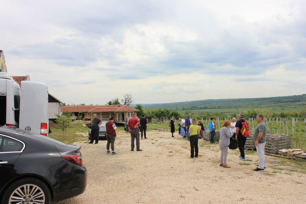 Apartmani Bojeresku Negotin Bagian luar foto