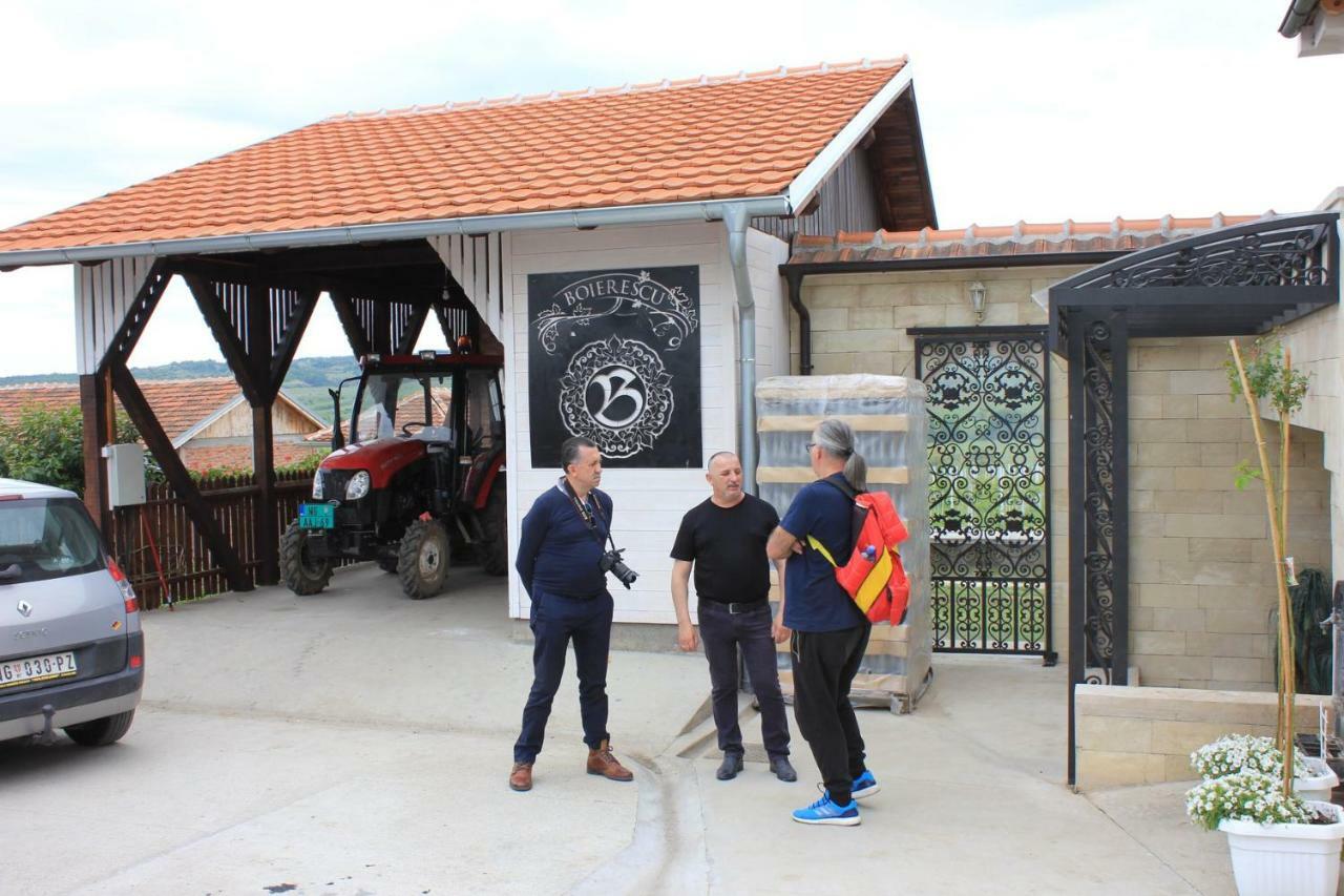 Apartmani Bojeresku Negotin Bagian luar foto